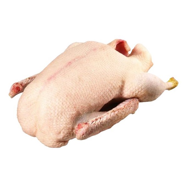 Утка кролик